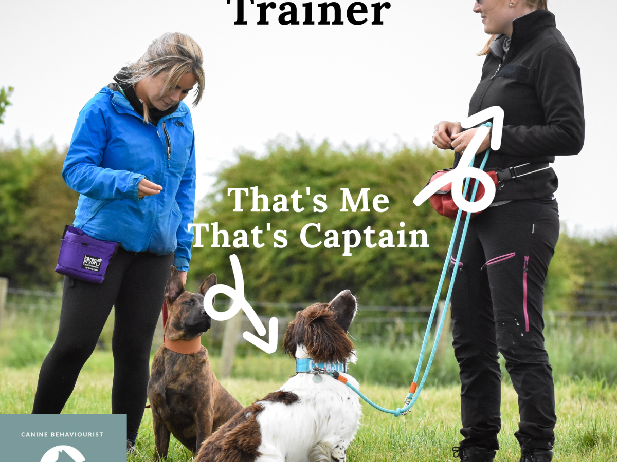 Meet the Trainer – Kathryn Jones